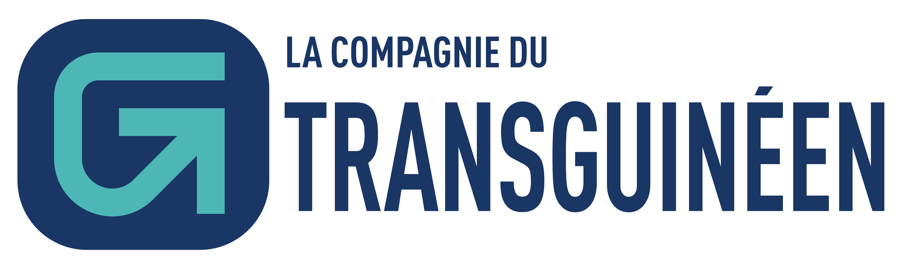 Transguinéen